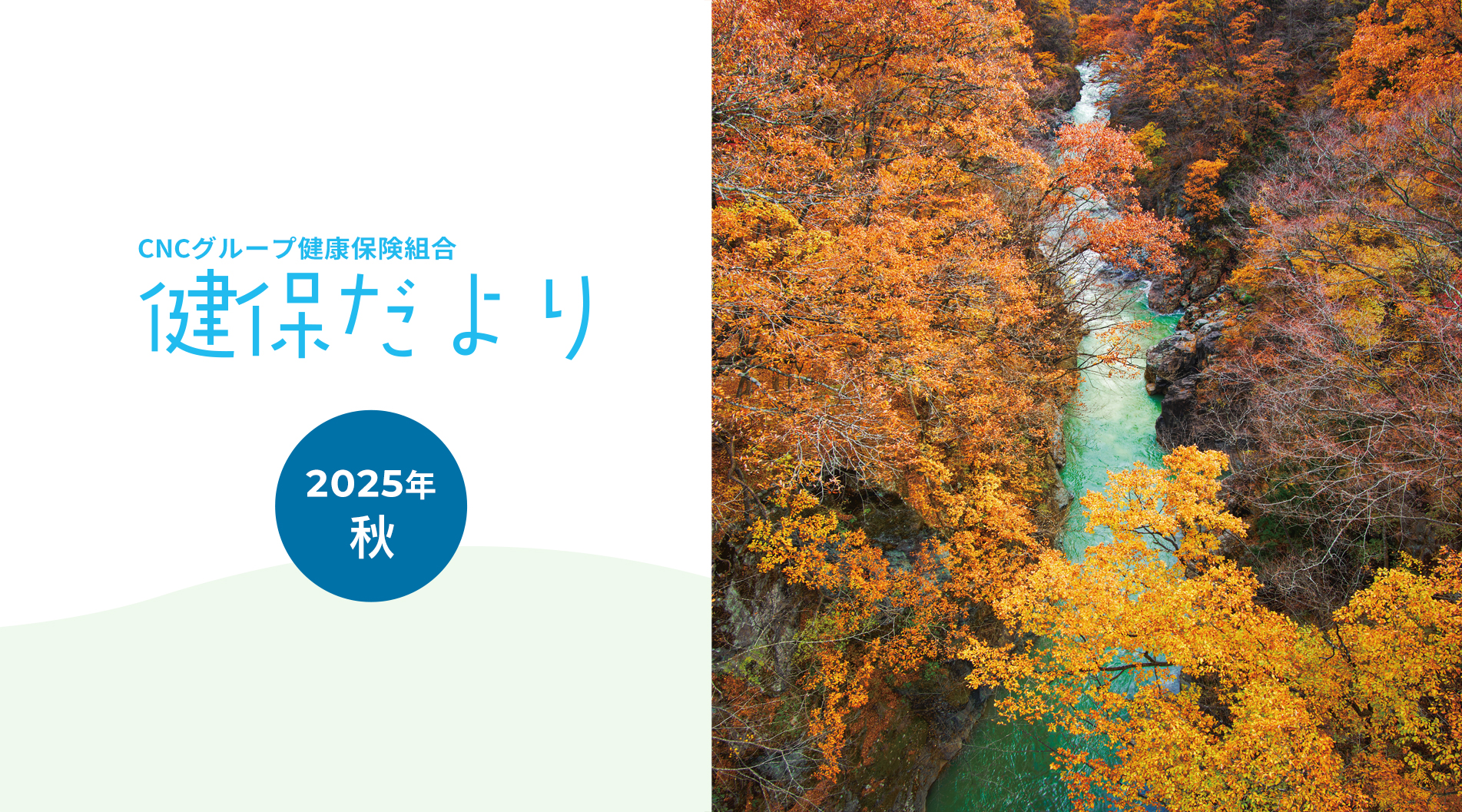 健保だより 2025年秋